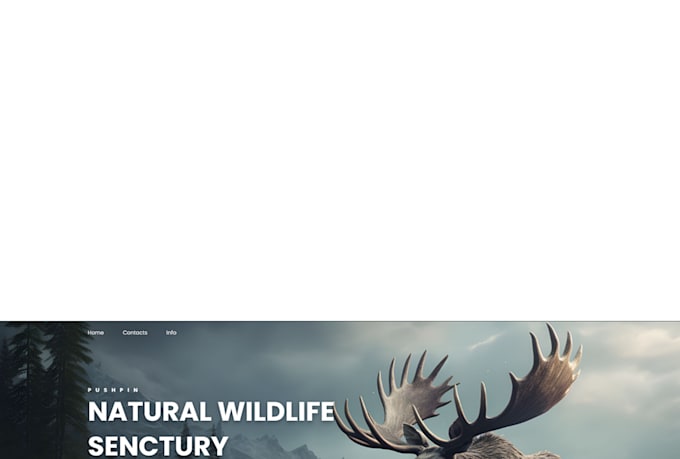 design a responsive wordpress website